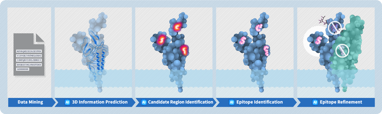 b cell epitope prediction