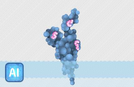 04 epitope identification