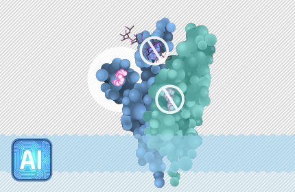 05 epitope refinement