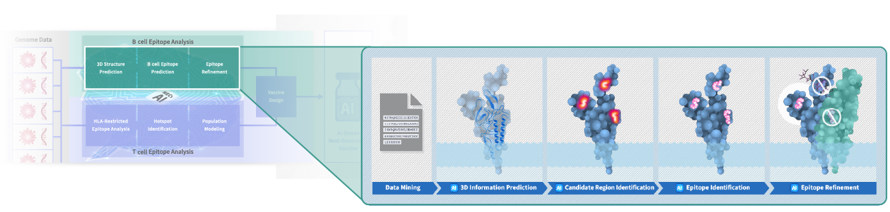 b cell epitope prediction