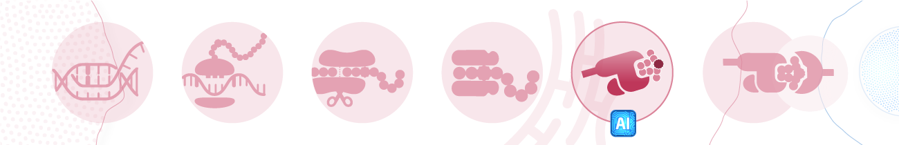01 hla binding