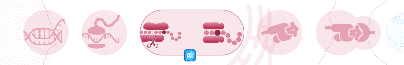 02 intracellular processing