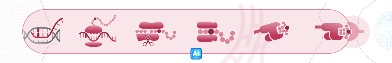 03 antigen presentation