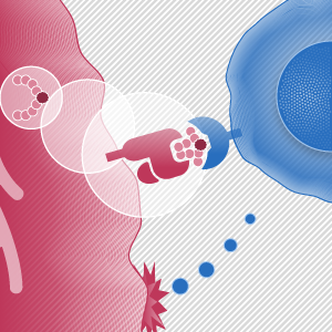  「ネオアンチゲン」が個別化がん免疫療法への道を開く