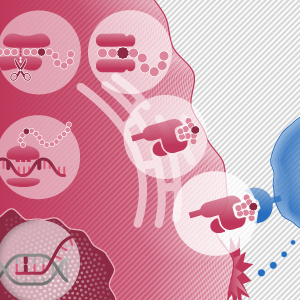 免疫を誘導する真のネオアンチゲンの予測を可能に