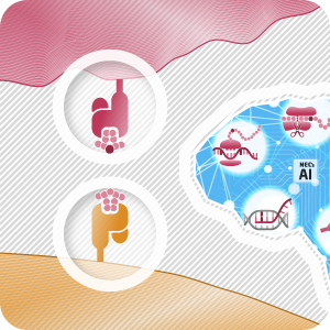 TCR認識の可能性