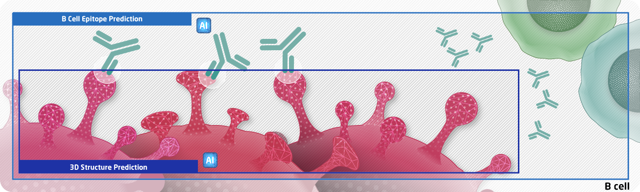 in silico 創薬 B細胞