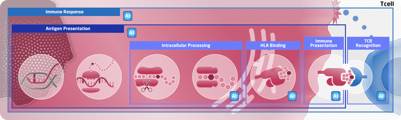 in silico 創薬 T細胞