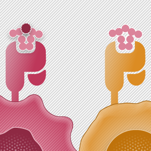 その背景となるのは