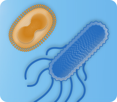 ワクチンプラットフォーム