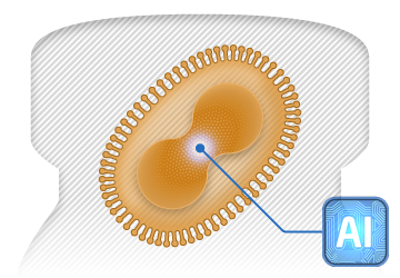 TG4050: ウイルスベクターがんワクチン