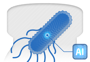 NECVAX-NEO1: 経口投与型がんワクチン